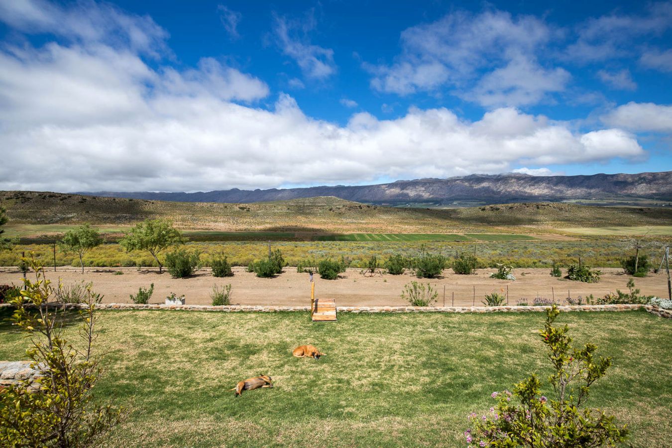 Image showcasing Off Grid & Neat! - Farm for sale in Montagu